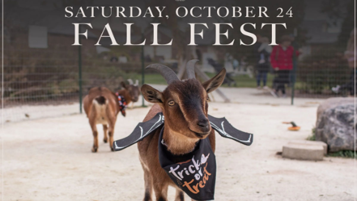 Fall Fest at Elawa Farm Foundation